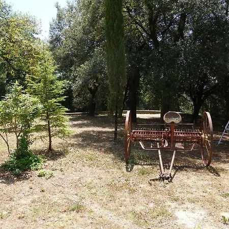 La Collina Di Piero Feriehus *